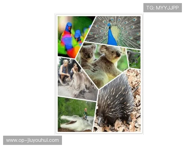 围绕教踢足球的医生群体展开的专业人物盘点与特色解析全景综述篇