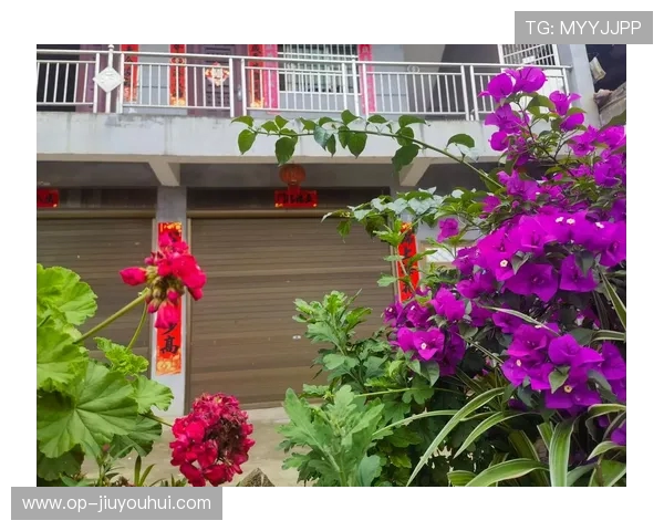 麻江县龙山镇足球联赛精彩开赛 吸引众多球迷和球队参与共庆体育盛事